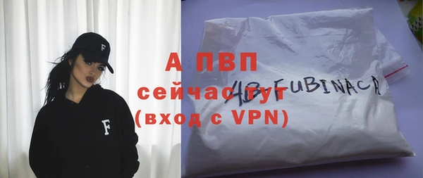 стафф Алексин