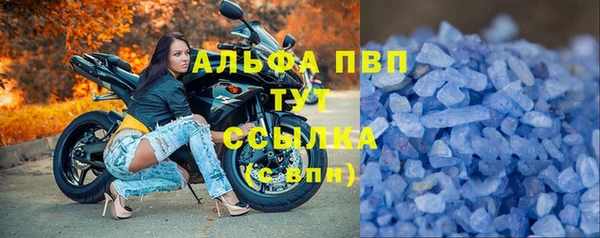 стафф Алексин