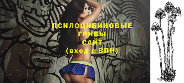 тгк Алексеевка